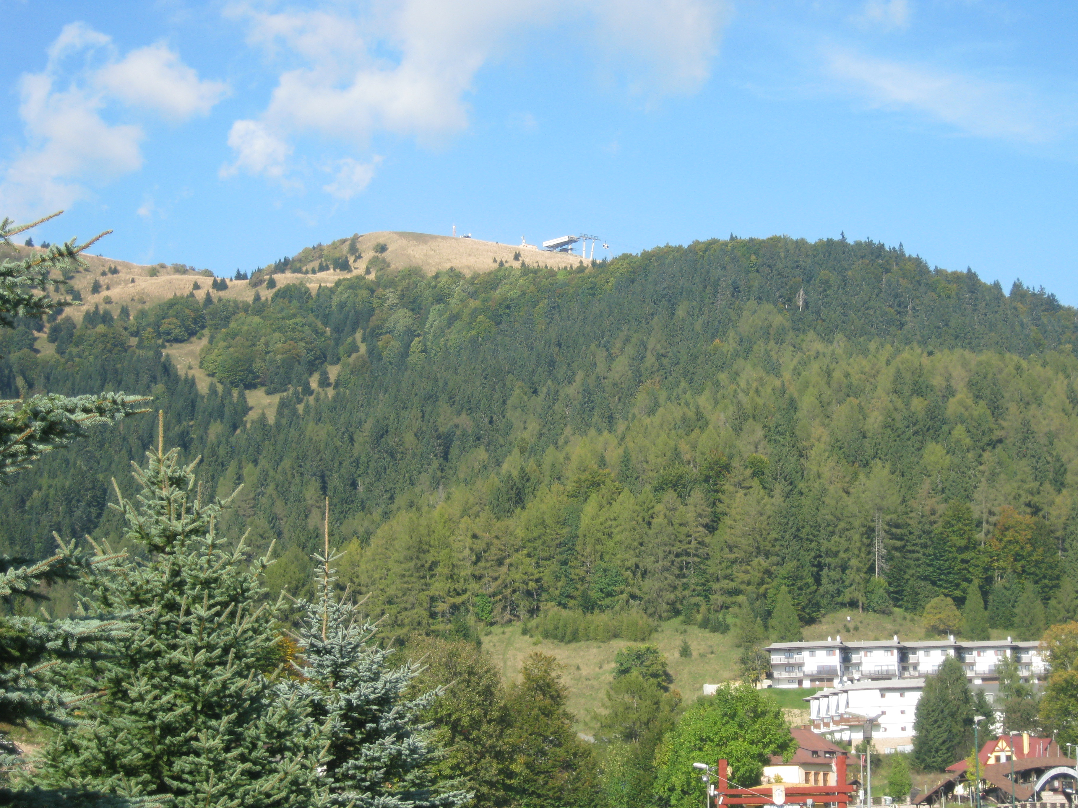 IMG_3780